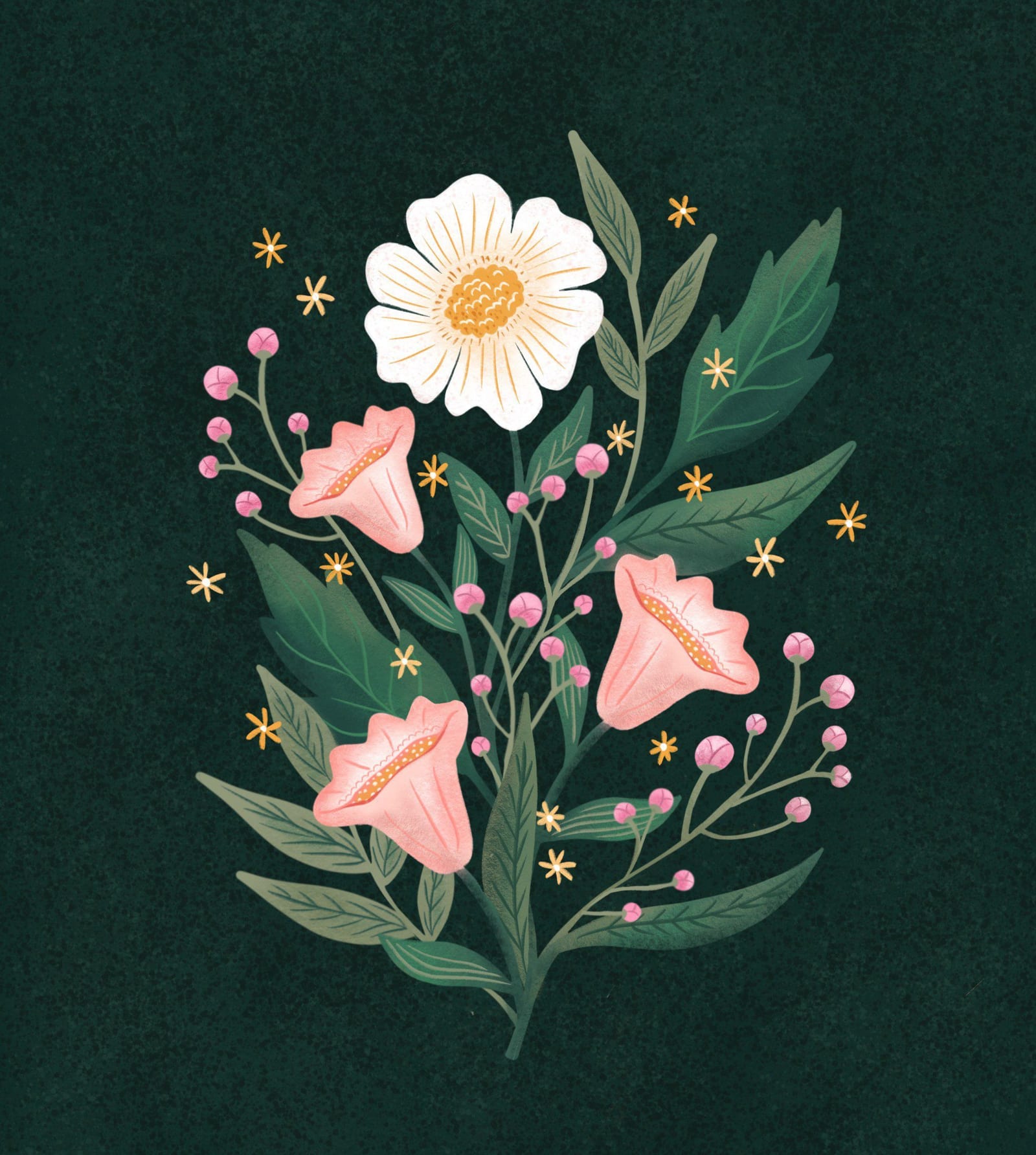 Handlettering & Illustration 12