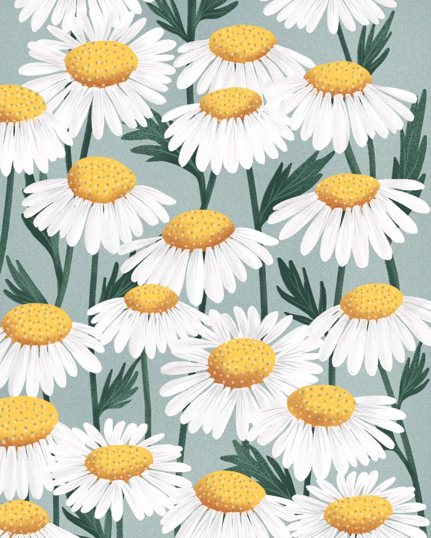 Handlettering & Illustration 13