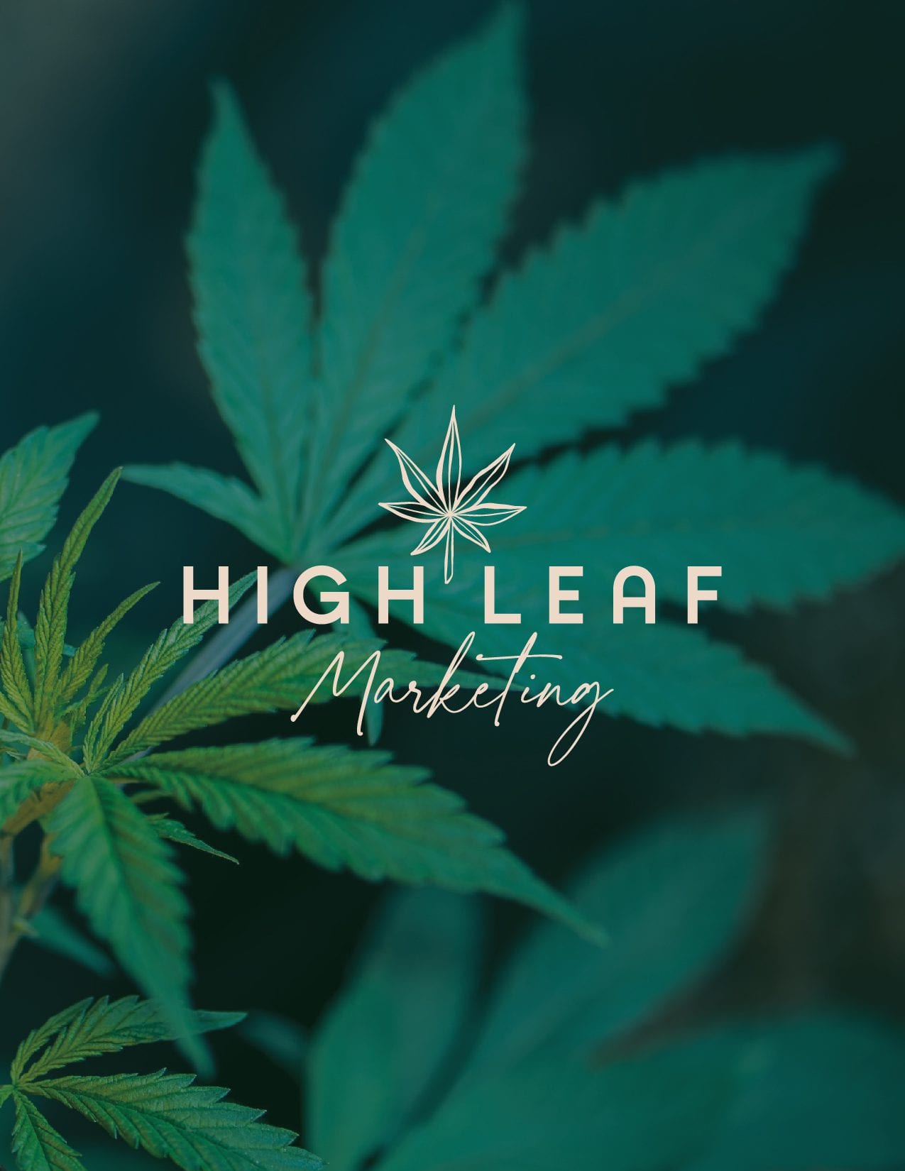 High Leaf Marketing 6